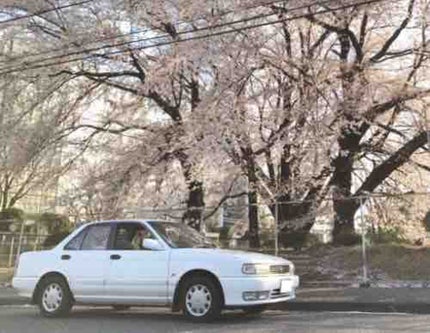 こう坊w