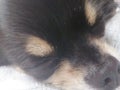 生徒会部員❤️