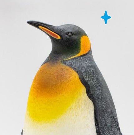 ペンギン座🐧✨