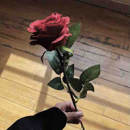 ますたーど(旧)