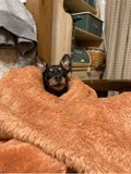 じゅん