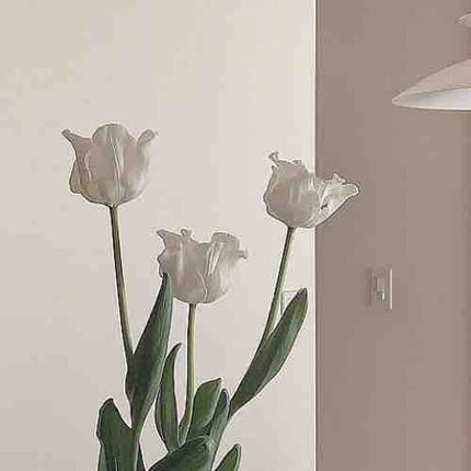 chai.@フォロバ実施期間中🦊