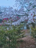 りり ☁️