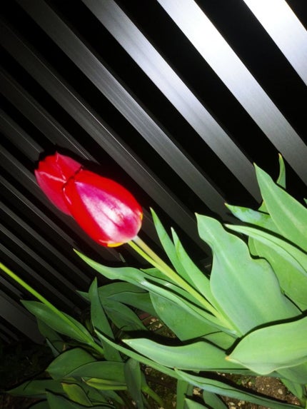 🐰🎀きょうちゃん🐲☺︎