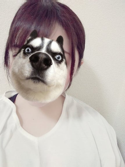 まちゃ@フォロバ100%