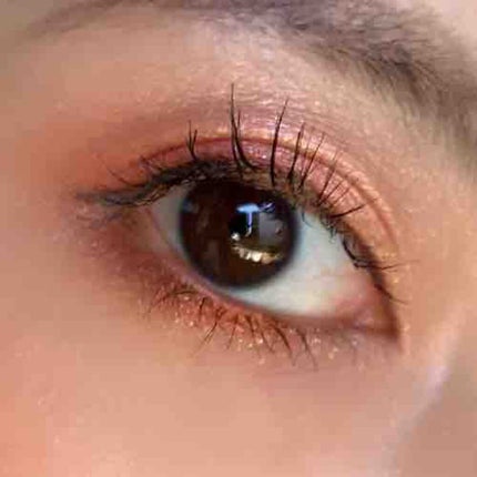 めろ🌸❄️春冬vivid