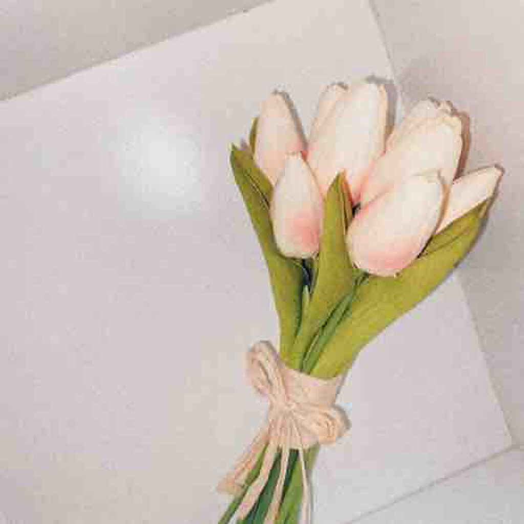 頑張るちゃん❕