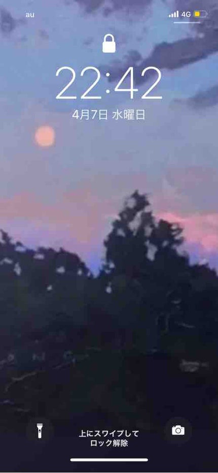 えびあぼかど🥑