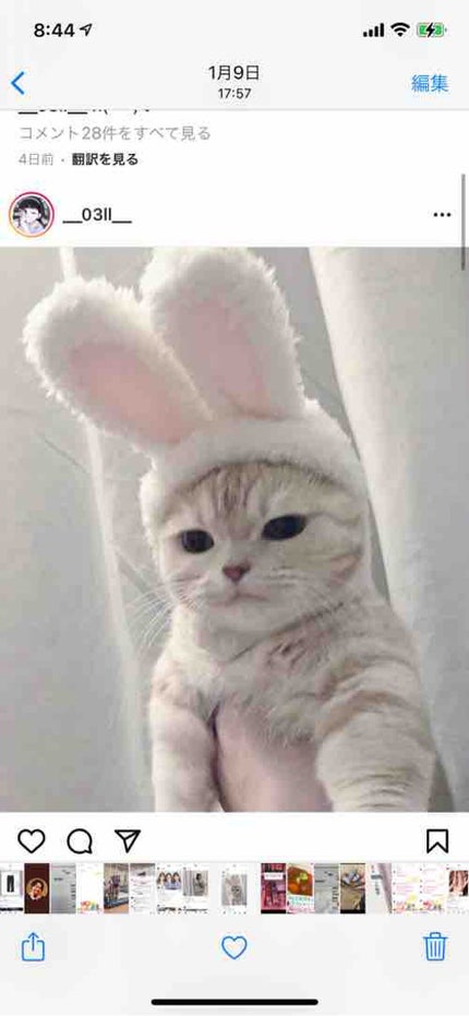 なれそめちゃん