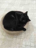 ころころ