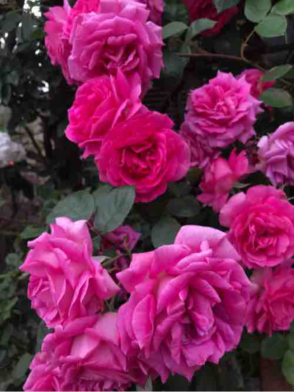 かっちゃん꙳★*ﾟ