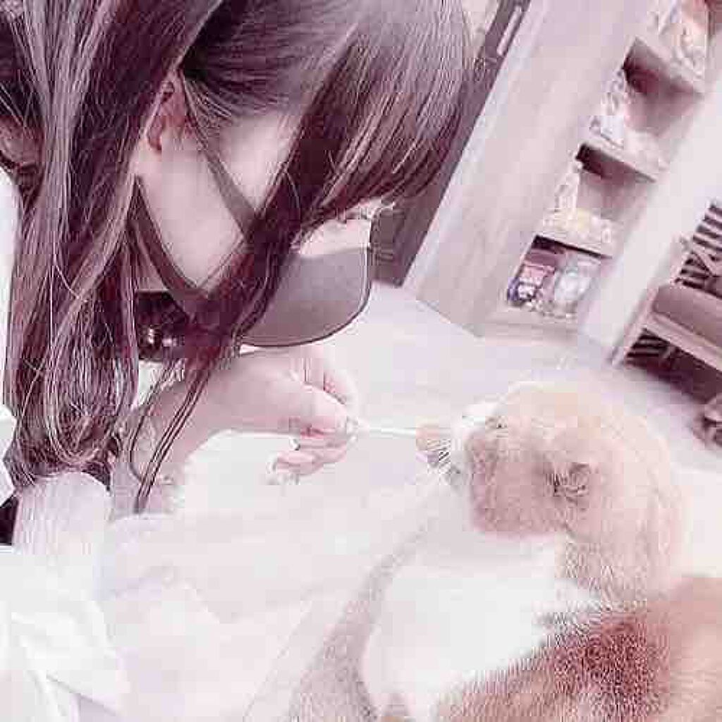 ❤︎ ミルク ❤︎