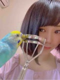 mio