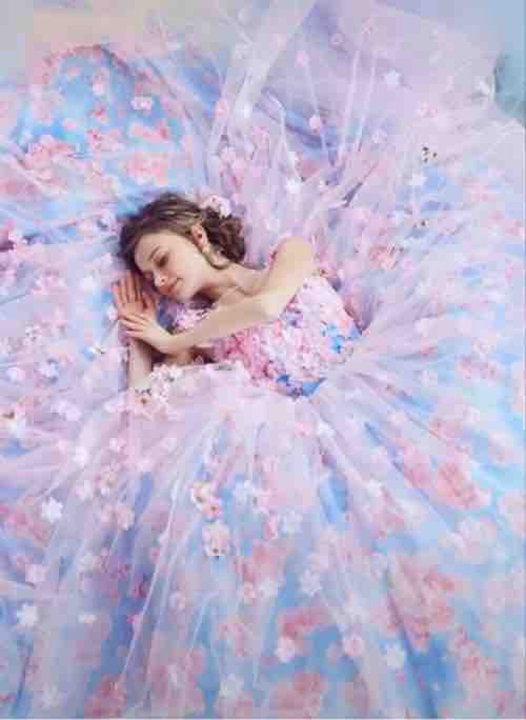 はりねずみ‎੯•́ʔ̋ ͙͛*͛ ͙͛*͛ ͙͛̋و