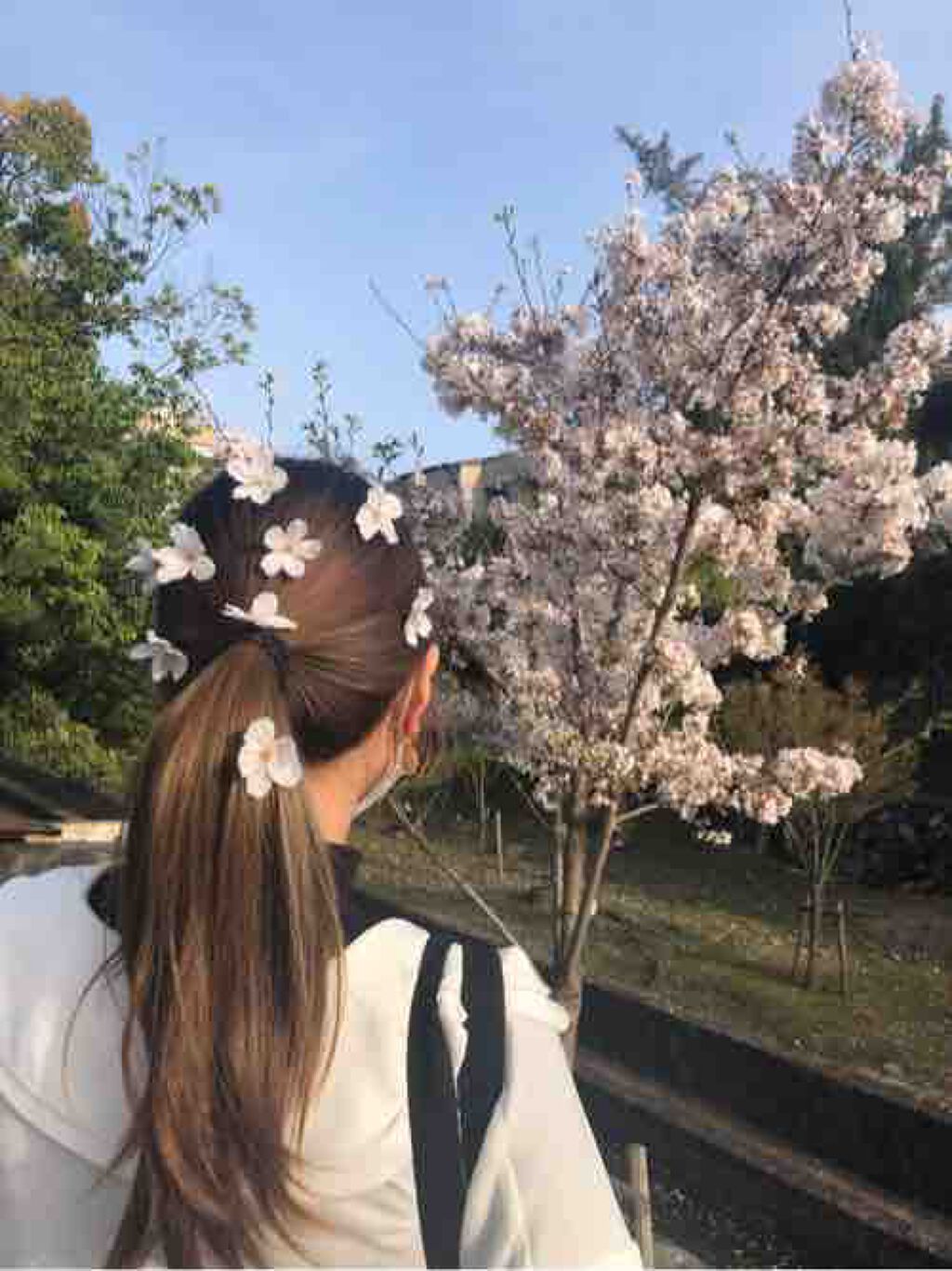 ☺︎まる☺︎フォロバ✌️