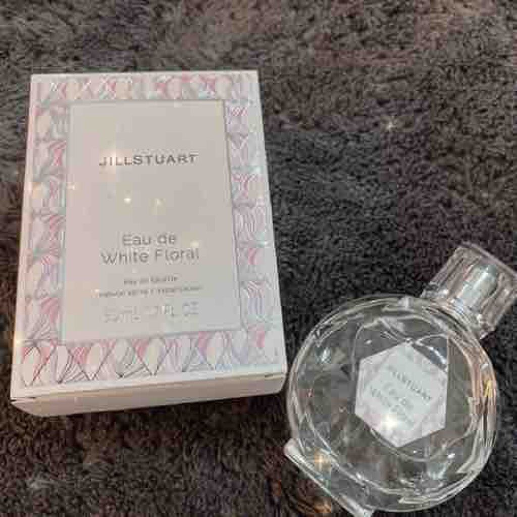 ☁️👑𝐍𝐎𝐀☁️🌙𓈒 𓂂𓏸