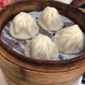 天草