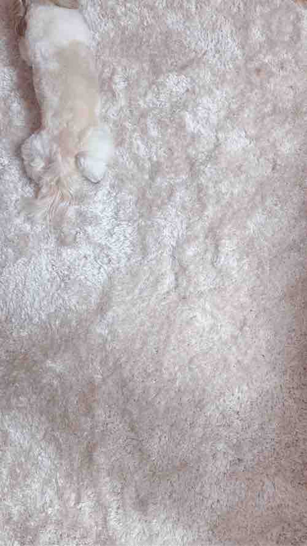 垢抜けたい女子