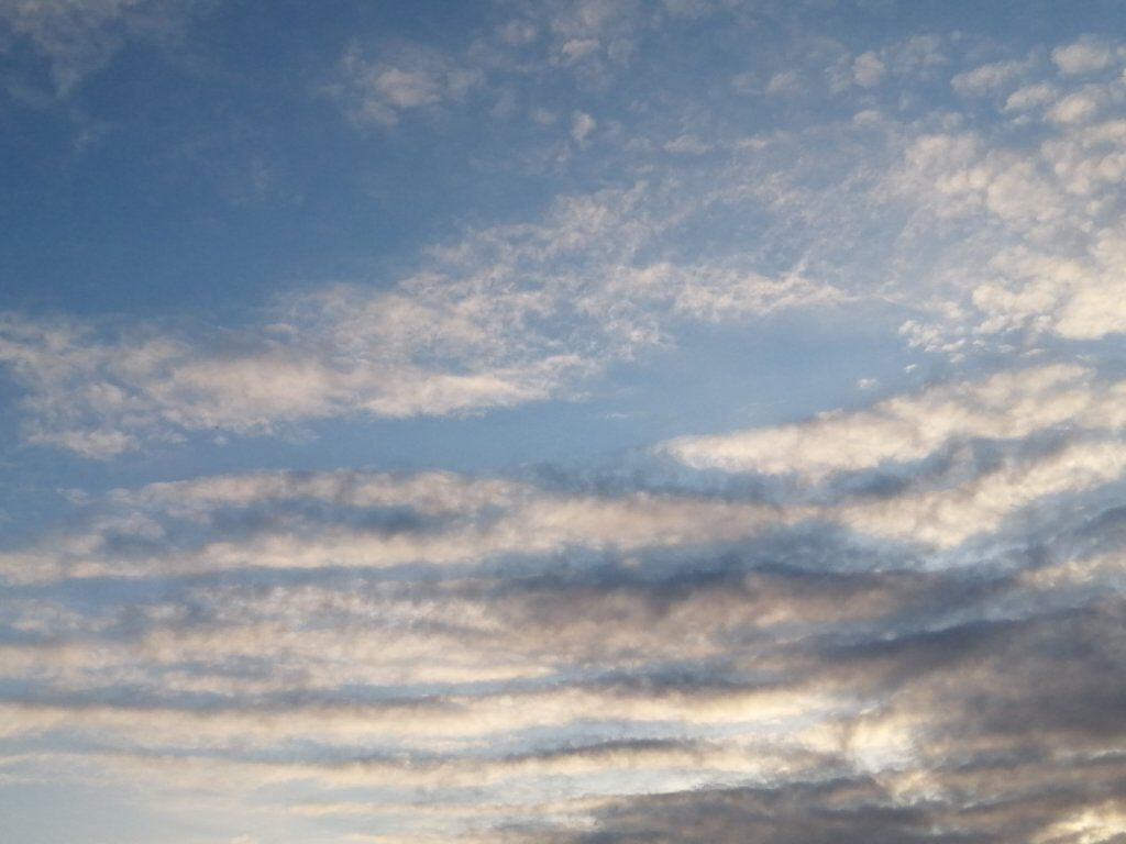 黒パグちゃん𓂃𓈒𓐍