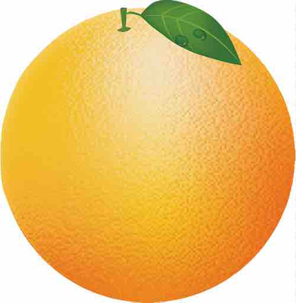 オレンジ