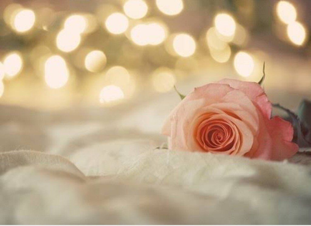 冬和流🖤💭　ふぉろば100%　