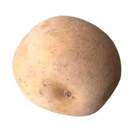 黄ばんだアラサー