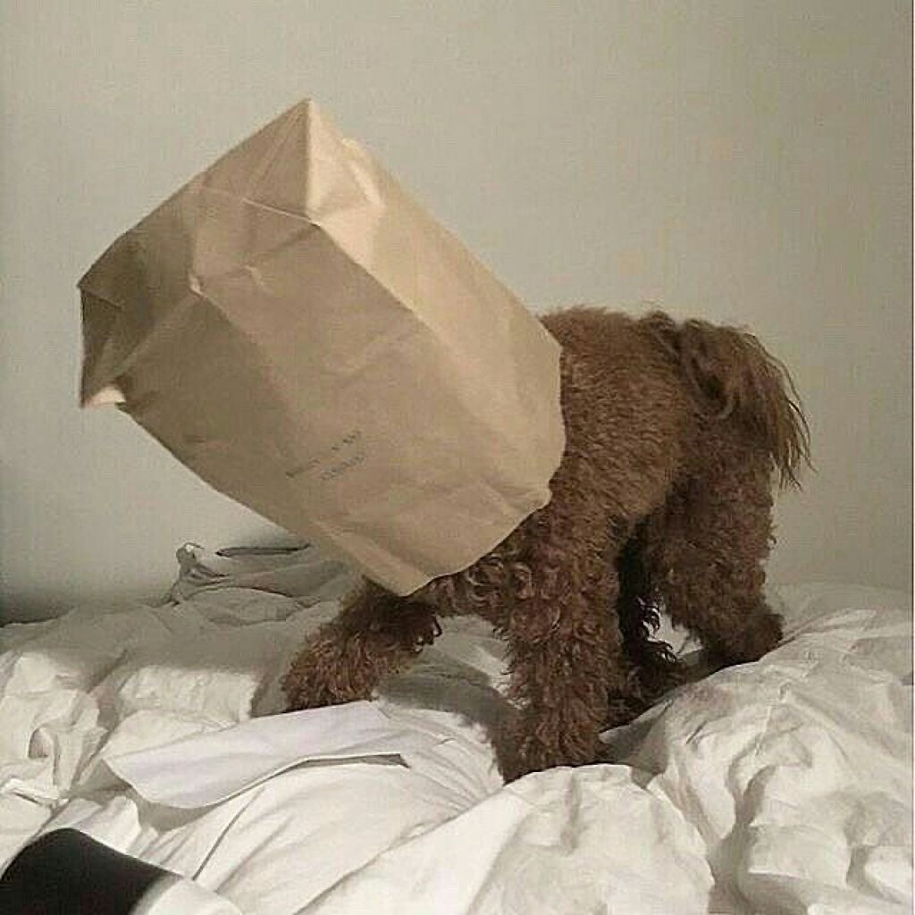 ☁‥라푼젤‥️☁️