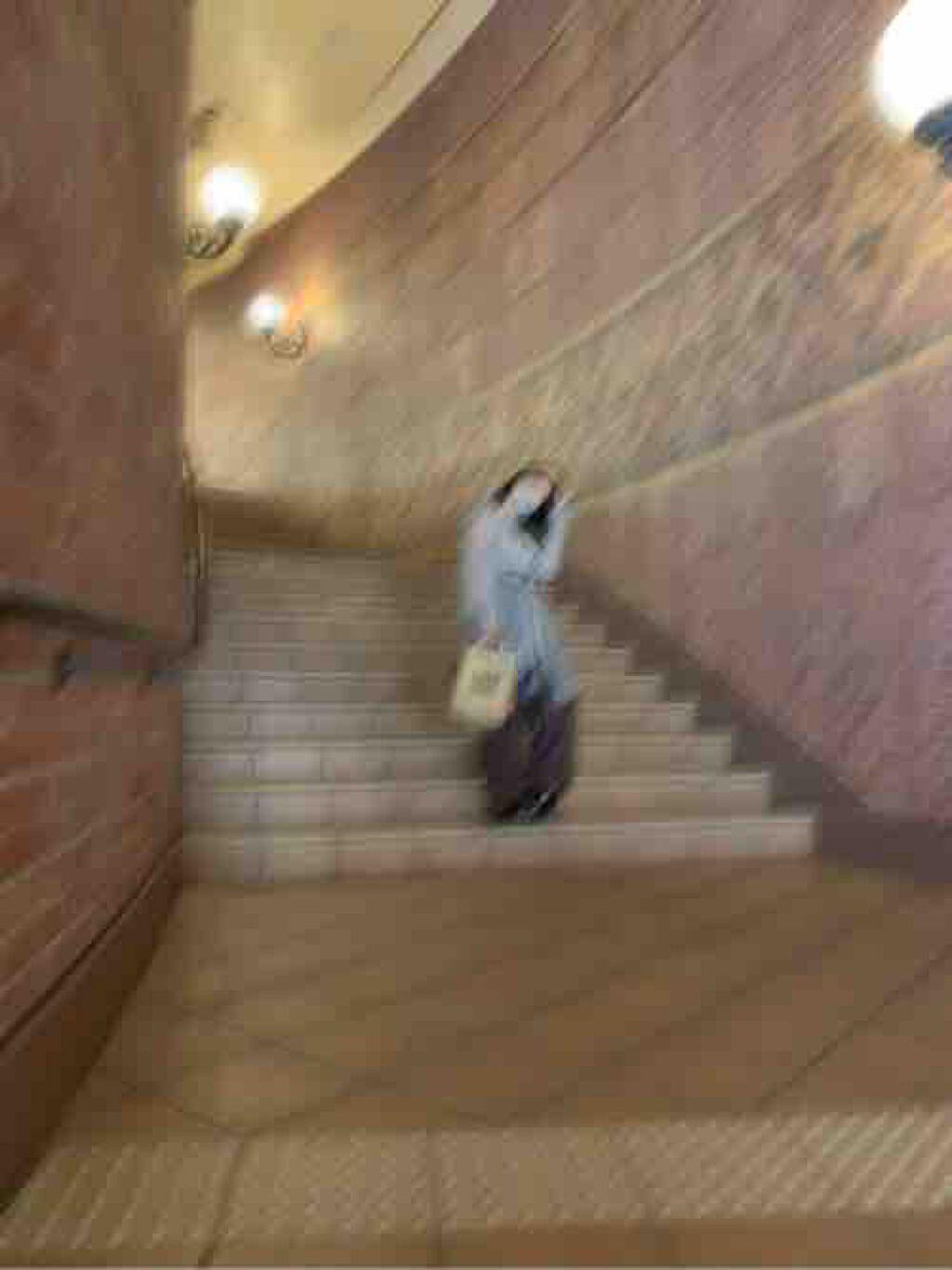 きょうりゅうちゃん🦕