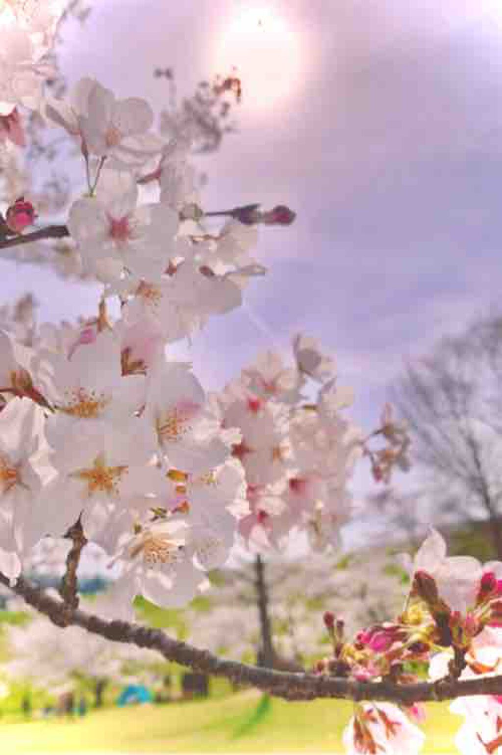 𓇬𓂂𓈒𝕥𝕦𝕓𝕦𝕘𝕦𝕞𝕚𓈒𓂂𓇬 