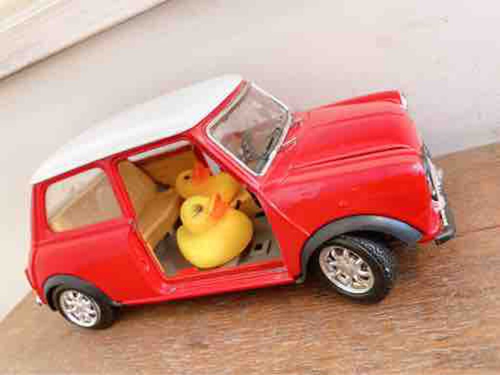 ゆきみだいふく