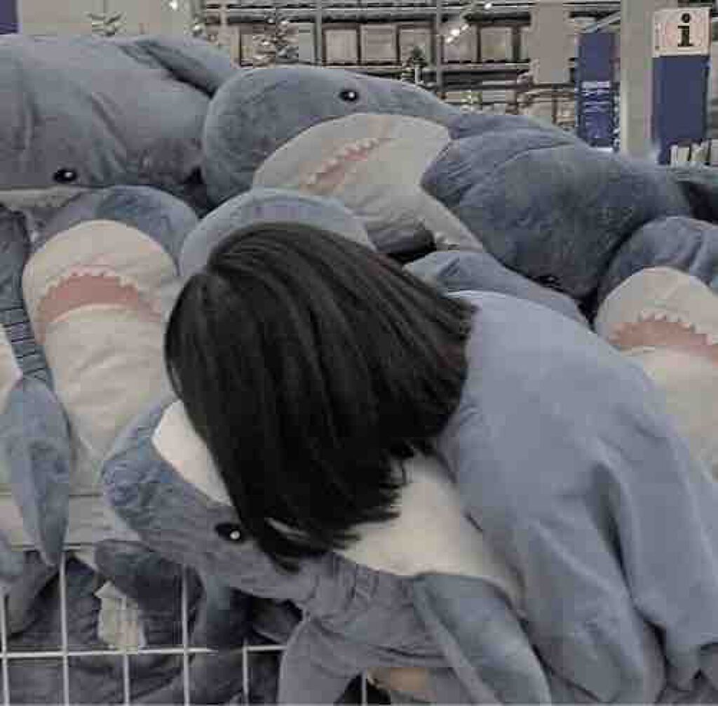 𝑯𝒊𝒏𝒂𝒕𝒂⋆͛🦖⋆͛