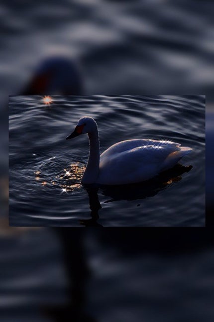 ぴの🦙 脂性肌