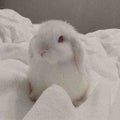 つあ