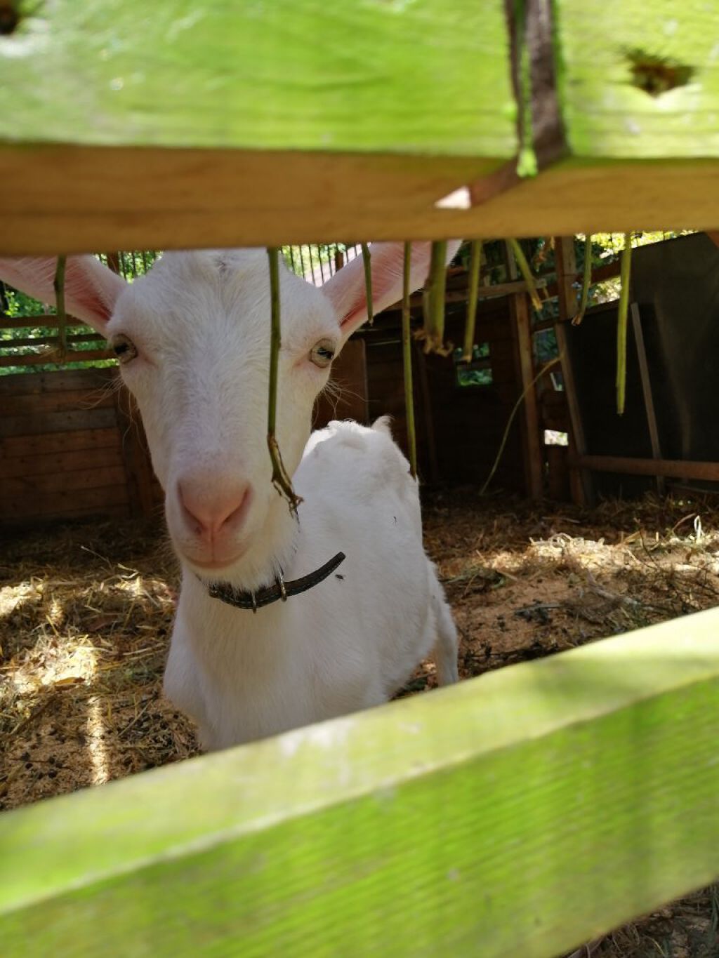 メンタイオンユ😚