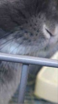 そら