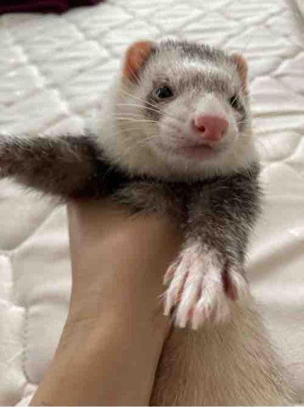 たかひと