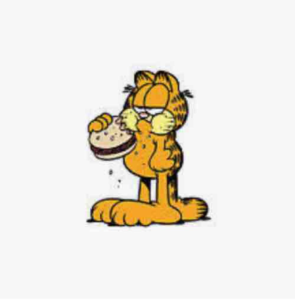 sawa꒰ঌ🤍໒꒱