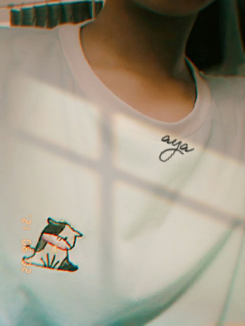 ゴリラ系うさぎ💨