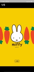 サヌコ