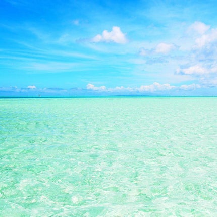 さきミルク(。・ω・。)