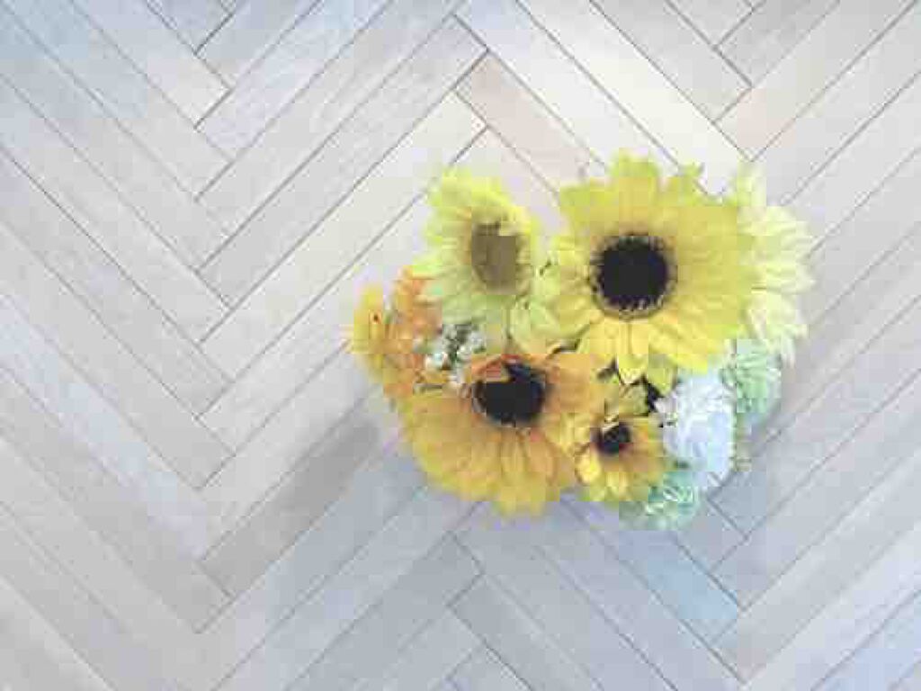 ﾉｺｺ🌼フォロバ100