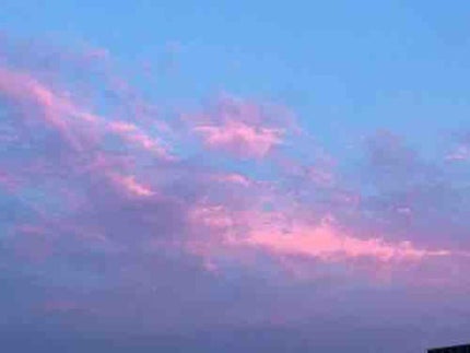 らる🫶フォロバシマス