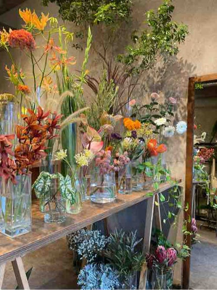 美容大好きOLⓂ︎ちゃん