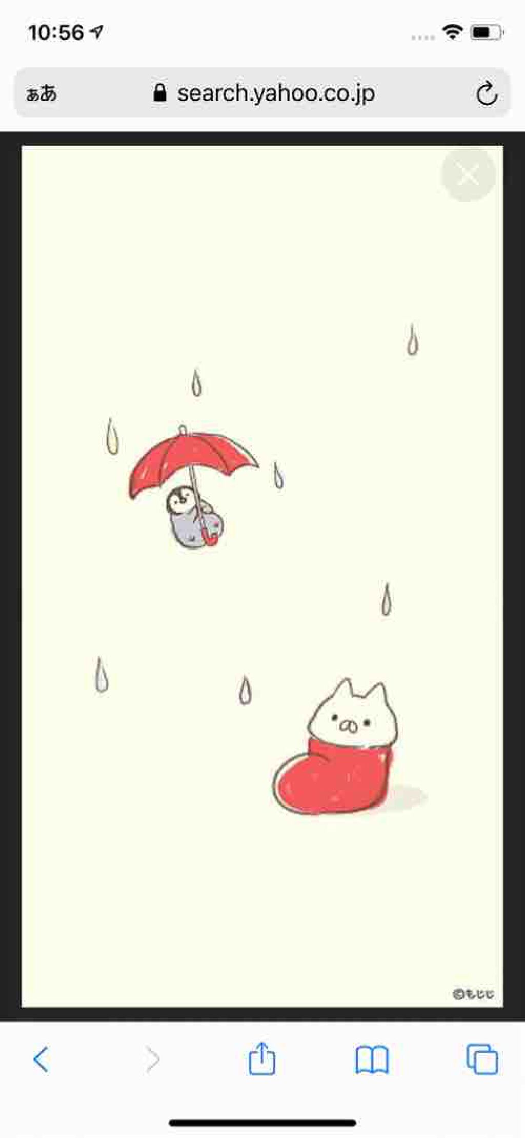 コーラフルーツ🥤🏀