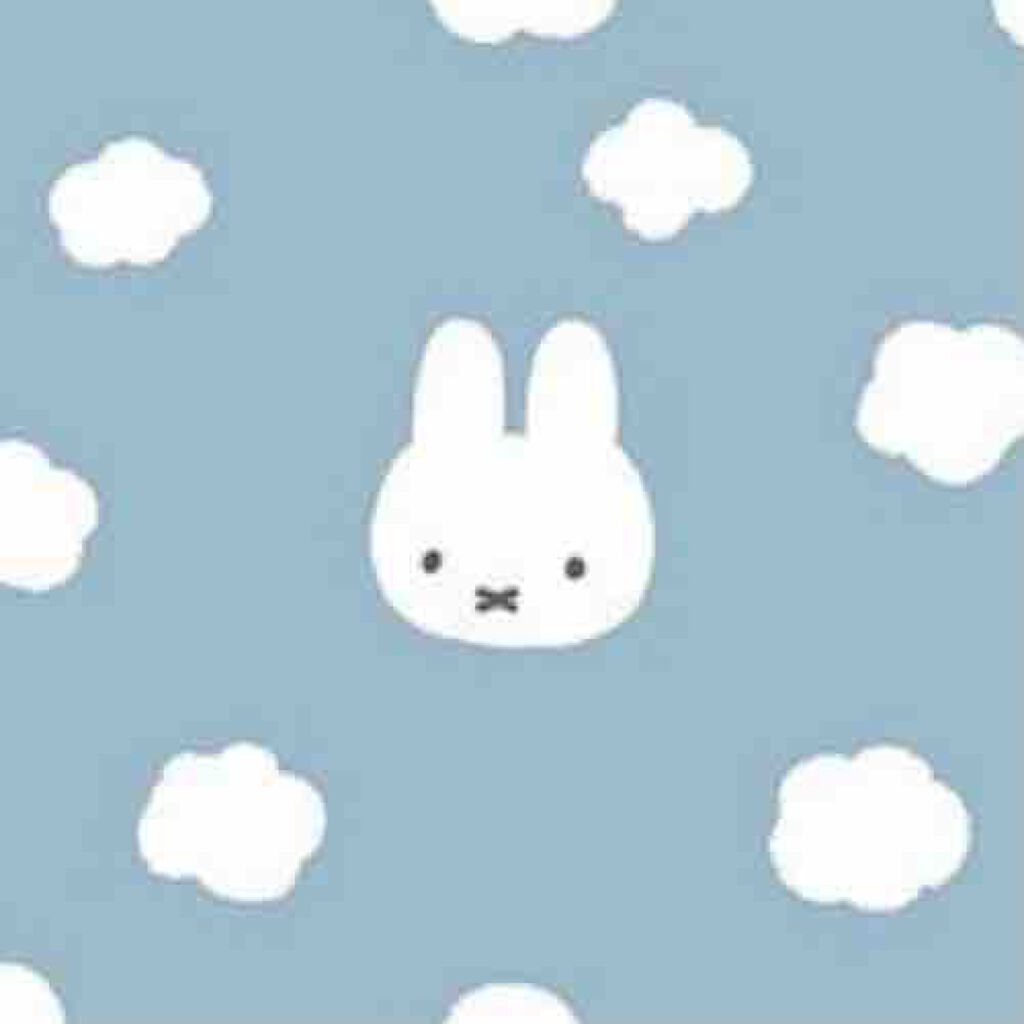 さくらんぼ🍒🌸