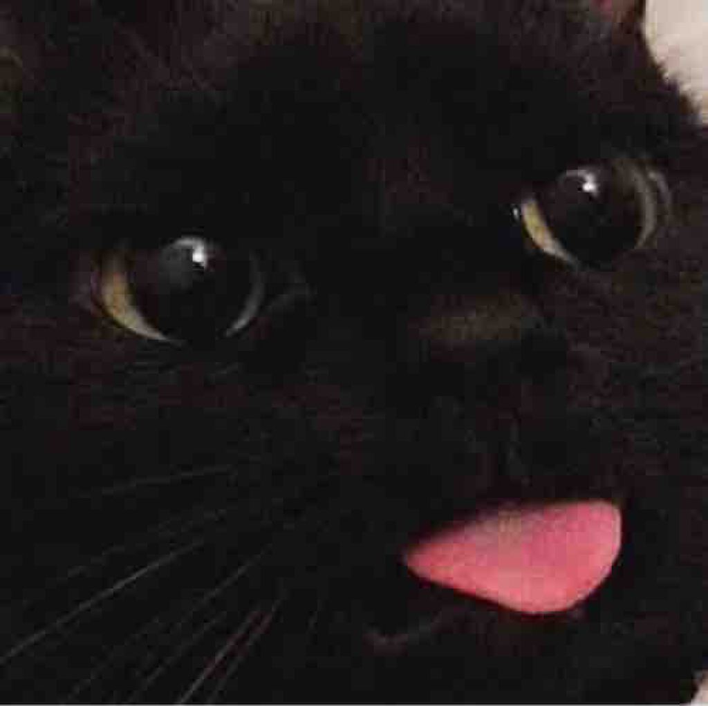 ﾋﾅﾃﾞｽ(^._.^)