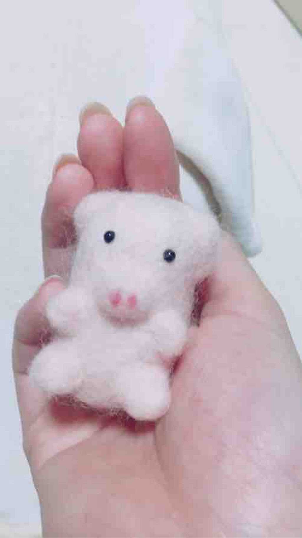 にらっこ🦑フォロバ