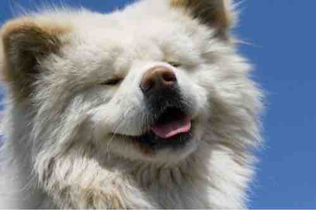 ︎︎︎︎( '-'  )ﾕｷﾁｬﾝ