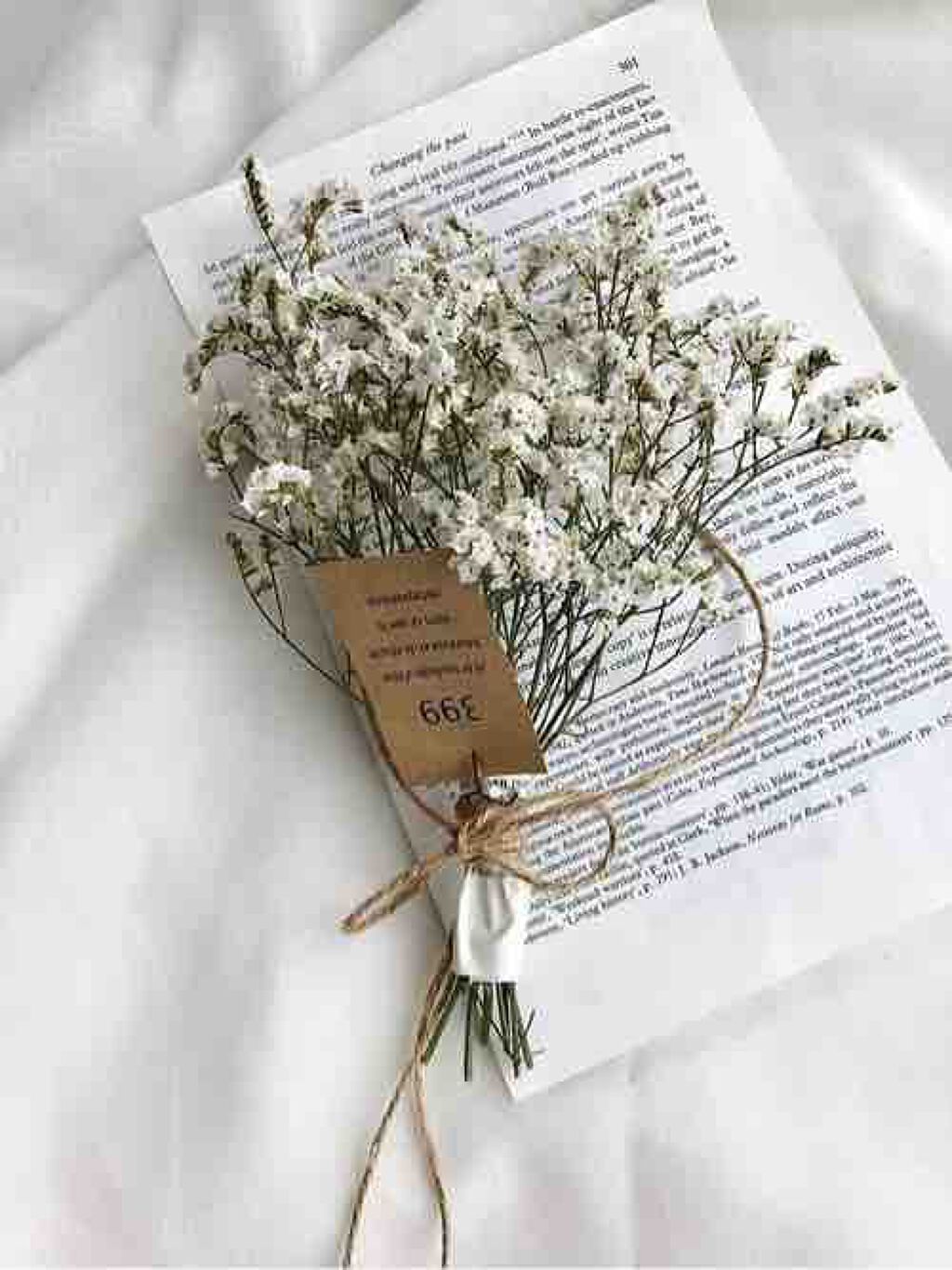 ⸜❤︎⸝‍⸜❤︎⸝‍⸜❤︎⸝‍