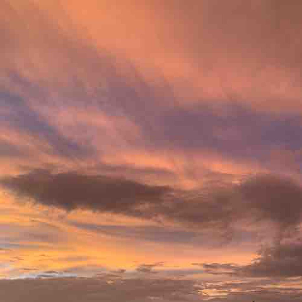 サナ　フォロバ